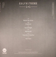 Load image into Gallery viewer, Calyx &amp; Teebee : 1 X 1 (3x12&quot;, Album)
