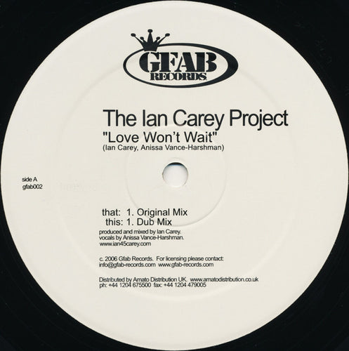 The Ian Carey Project : Love Won't Wait (12