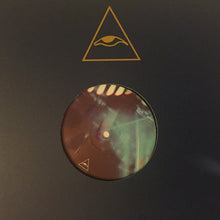 Load image into Gallery viewer, Iuly.B : Observatory EP (12&quot;, EP)
