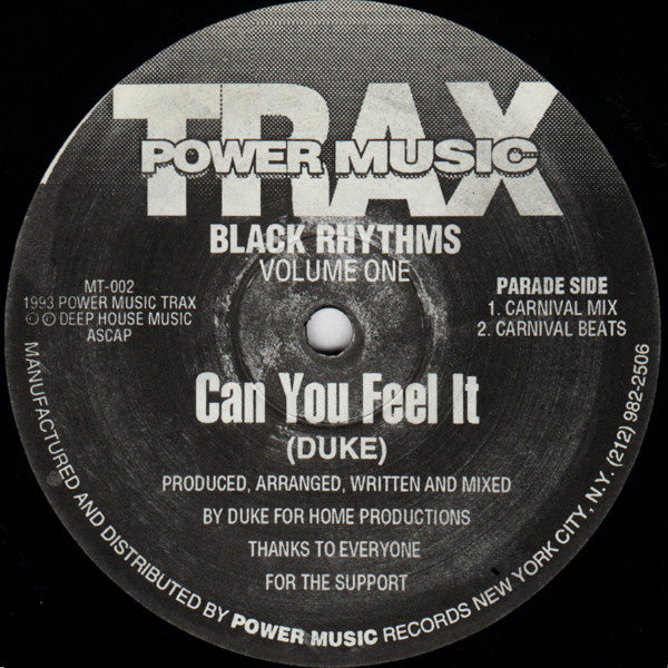 Black Rhythms : Can You Feel It (12