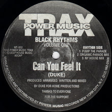 Load image into Gallery viewer, Black Rhythms : Can You Feel It (12&quot;)
