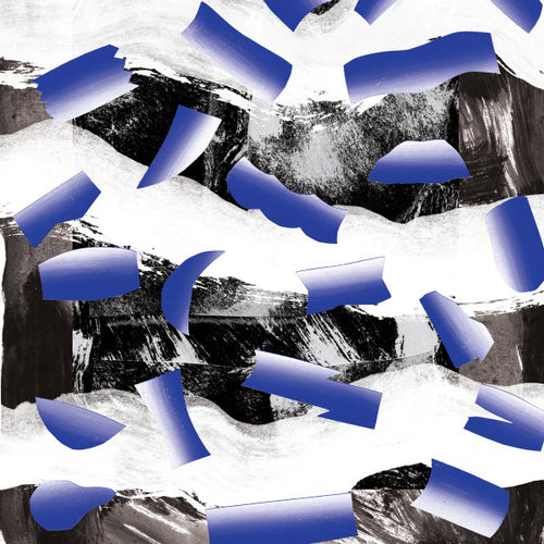 Octo Champ : Not Quite Here Yet (12